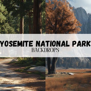 May include: Two scenic views of Yosemite National Park. The first image shows a path through a forest of tall trees. The second image shows a view of a valley with a large rock face in the background.