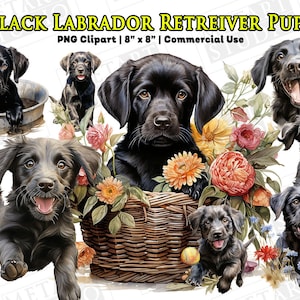 Black Labrador Retriever Clipart, Dog Clipart, Dog PNG, Watercolor Dog Clipart, Black Labs Clipart, Labrador Retriever PNG, Commercial Use