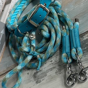 Rope leash and collar for dogs adjustable in set or individually