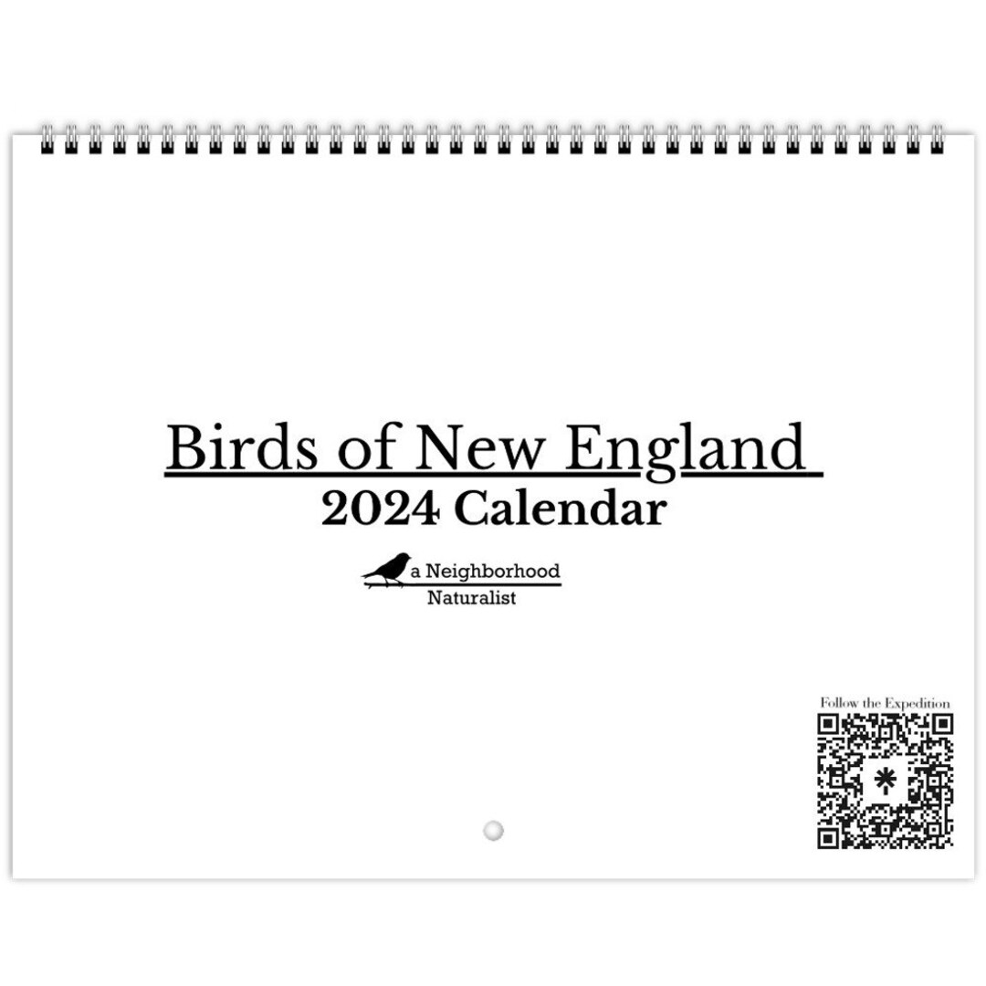 Birds of New England 2024 11x8.5 Photograph Wall Calendar Etsy