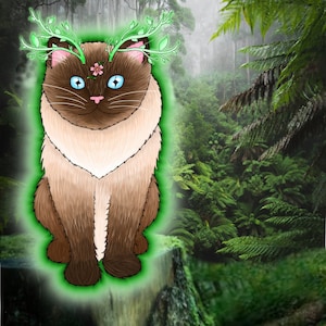 The kitten who controls nature