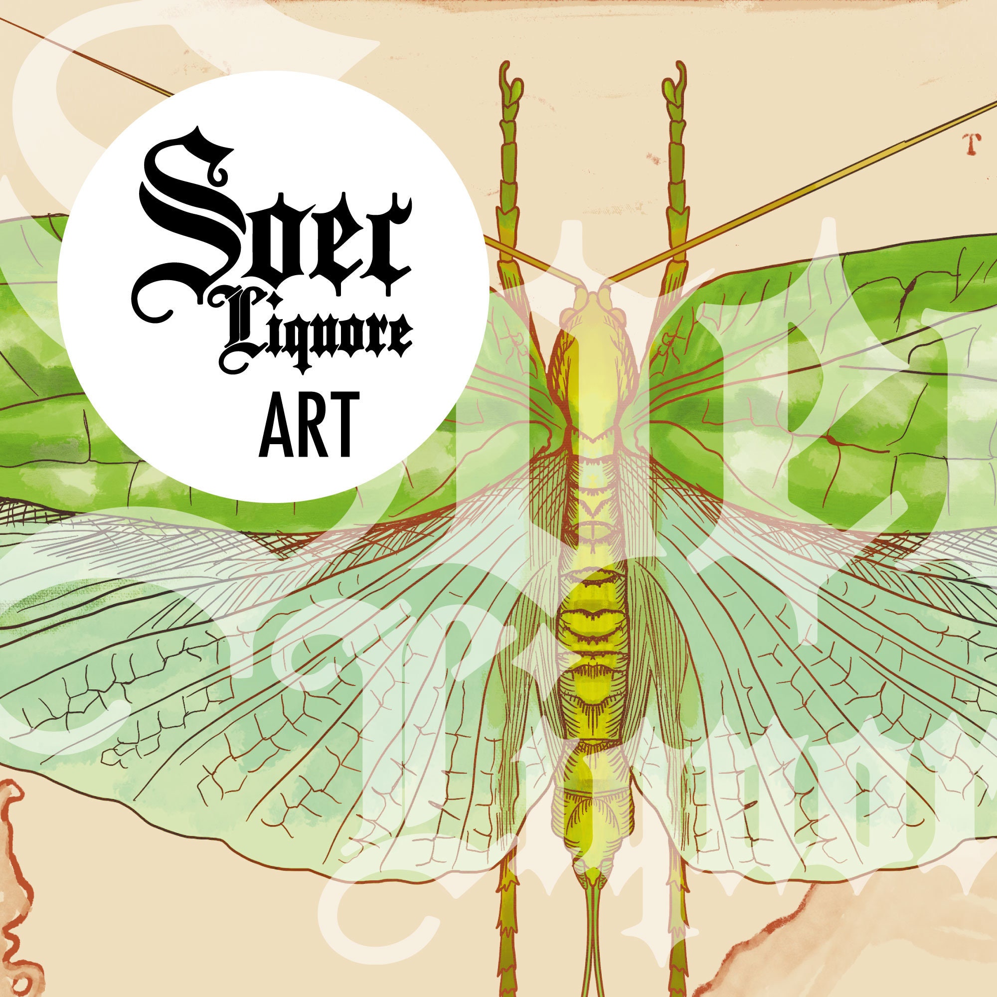 Katydid Artistic Illustration, Bug Art Print, Cricket Digital Prints ...