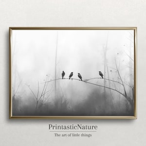 Fine Art Photography Print - Black and White Birds Minimalist Wall Art Framed Forest Lifestyle Calm Landscape Home Decor Rolled Paper