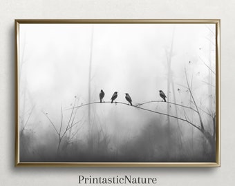 Fine Art Photography Print - Black and White Birds Minimalist Wall Art Framed Forest Lifestyle Calm Landscape Home (Digital Download)