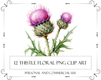 Thistle Clipart aquarel paarse Thistle Art botanische Wall Art Clipart bloemen aquarel illustraties