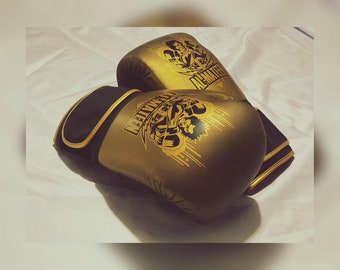 Bokshandschoenen - kracht en stijl / voor training en wedstrijden: keuze uit kampioenen | Zeldzame vondst