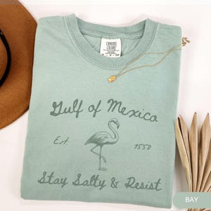 Peut inclure: Un t-shirt vert clair avec un graphique vintage d'un flamant rose et le texte "Gulf of Mexico Est. 1950 Stay Salty & Resist".
