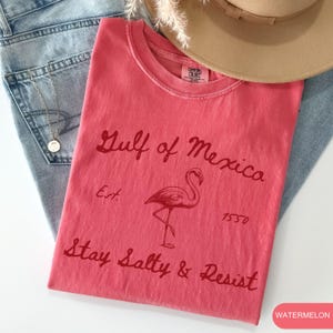 Peut inclure: Un t-shirt rouge avec un graphique de flamant rose et le texte "Gulf of Mexico Est. 1550 Stay Salty & Resist" en lettres rouges. Le t-shirt est pli&eacute; et pos&eacute; sur un jean bleu.