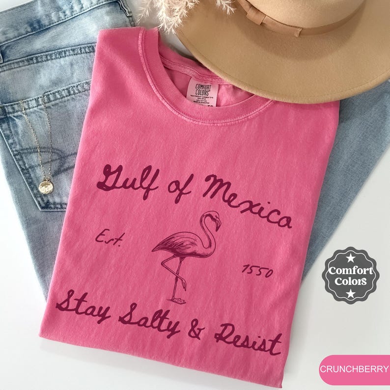 Peut inclure: T-shirt rose avec un graphique de flamant rose et le texte "Gulf of Mexico Est. 1550 Stay Salty & Resist".