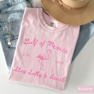 Peut inclure: T-shirt rose avec un graphique de flamant rose et le texte "Gulf of Mexico Est 1550 Stay Salty & Resist".