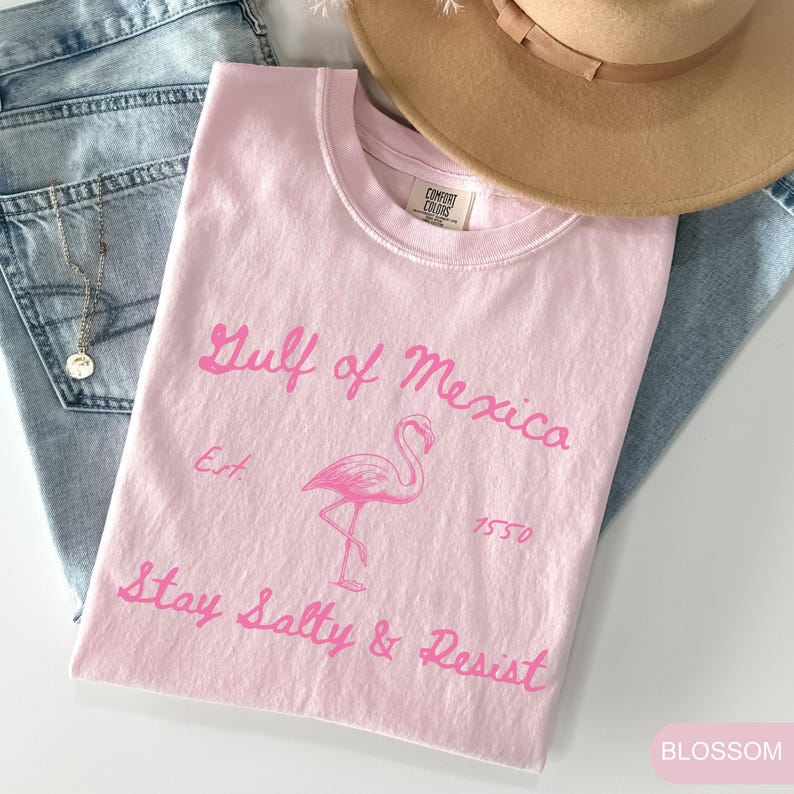 Peut inclure: T-shirt rose avec un graphique de flamant rose et le texte "Gulf of Mexico Est 1550 Stay Salty & Resist".
