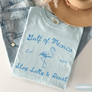 Peut inclure: T-shirt bleu clair avec un graphique de flamant rose et le texte "Gulf of Mexico Est. 1550 Stay Salty & Resist" imprim&eacute; en bleu. Le t-shirt est fait d'un mat&eacute;riau doux et confortable.
