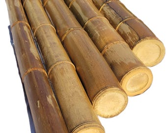 Natural Guadua Bamboo Poles, 4.5"-5" Large and Xtra-Large Bamboo Poles for Indoor/Outdoor, 2 ft, 3ft, 4ft, 5ft, 6ft, 7ft, 8ft Lengths, Cured