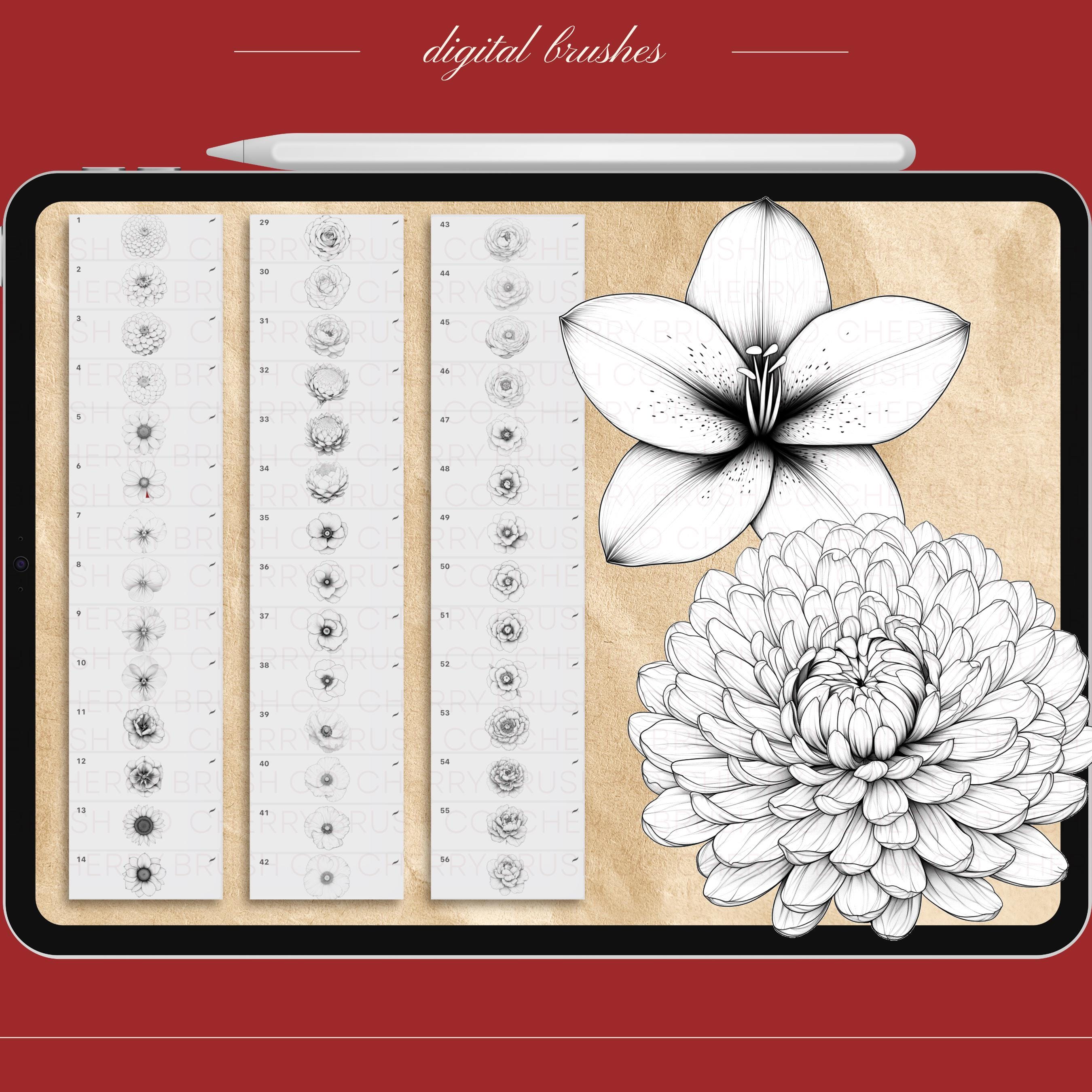 Procreate Flower Buds Brushes Stamps. Procreate Flower Brush Stamp ...