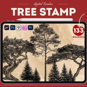 Procreate tree stamps. Procreate pine, oak, palm tree brushes. Photoshop forest trees brushes. Clip studio paint brushes