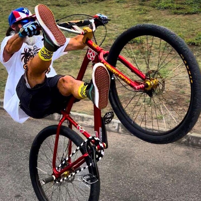 White and Black Bike Chain Cover - Grease Protection & Custom Bike Accessory - Fits Kids Bikes, BMX, Cruisers and E-bikes image 9