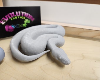 NoodleMiniature Lucy Super Fire Ball Python Miniature Figure