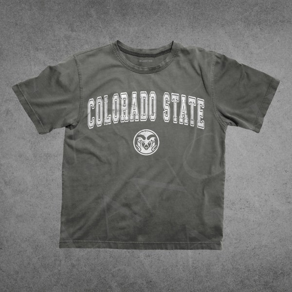 Camicia vintage invecchiata Colorado State Comfort Colors, regalo Colorado, maglietta da viaggio Colorado