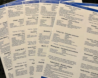 Kruidenetiketten set 3 (pdf-versie)