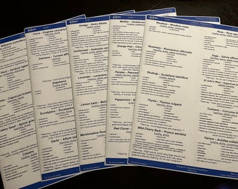 Kruidenetikettenset 1 (.doc-bestand) BIJGEWERKT 2009-24
