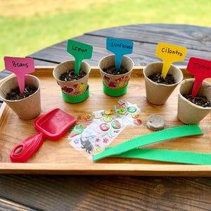 Party favors for kids | Toddler party favor | birthday party favors | DIY Mini Garden Kit Party Favors | Birthday party favors