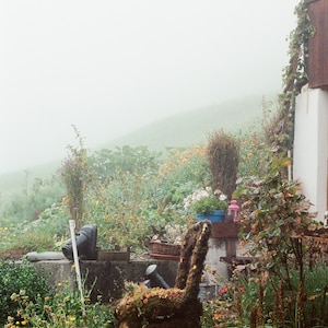 Swiss summer flower garden