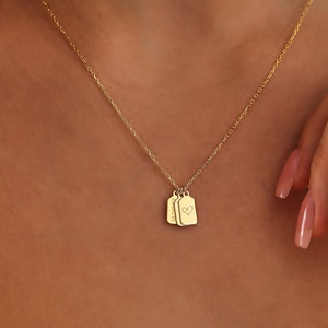 Collana con targhetta personalizzata in oro massiccio 14k • Iniziali con barre verticali, regalo di anniversario per la moglie • Ciondolo con targhetta con nome/data incisa minimalista