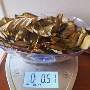 Red alder leaves .50 ounce dried