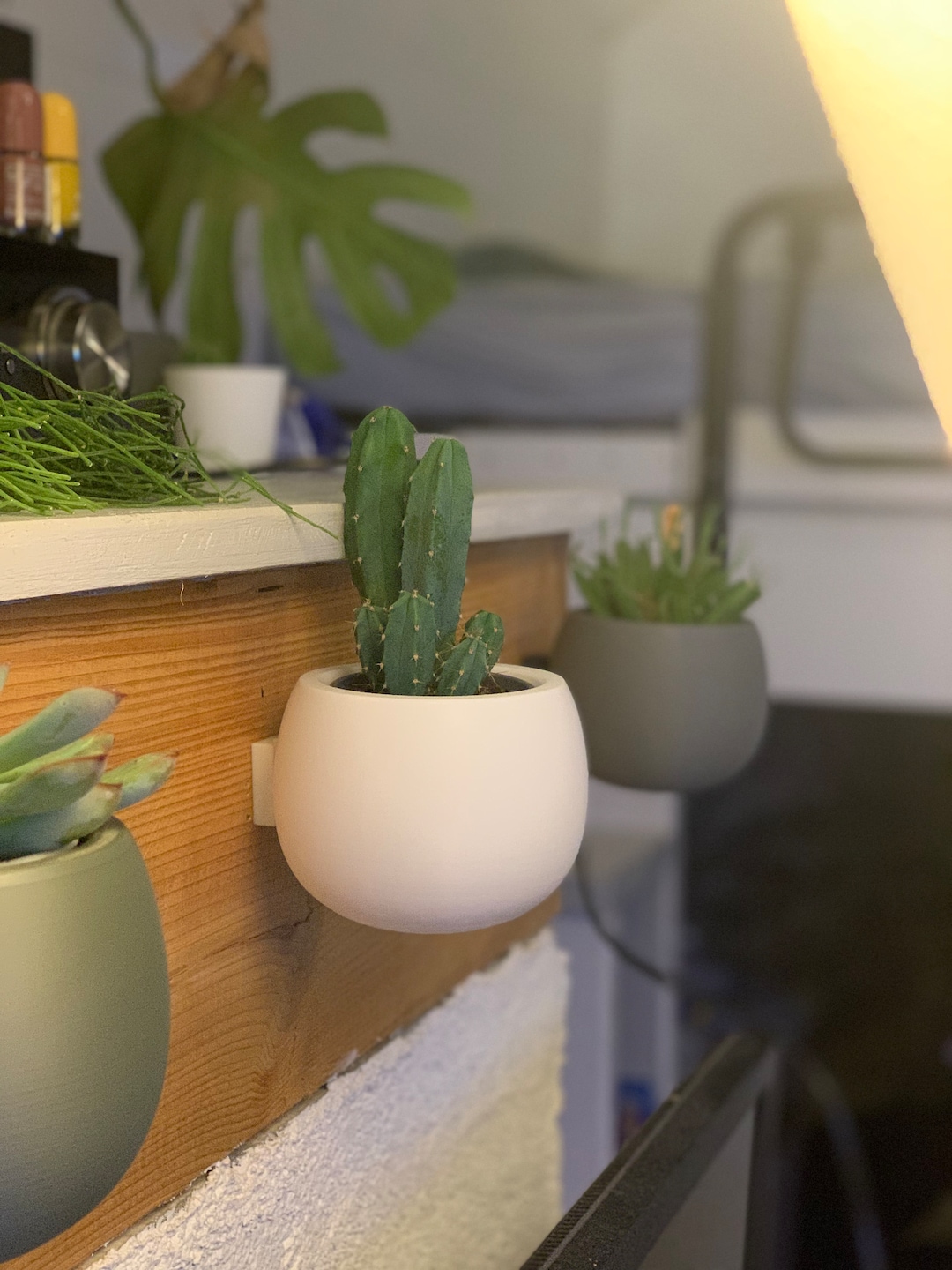 60+ Wandhalterung Pflanzen Ikea, Für 2 flaschen mineralwasser mit
