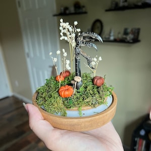 Puede incluir: Un pequeño terrario decorativo con una garra de pájaro negra, musgo, flores blancas y calabazas naranjas en miniatura. El terrario está en una base de madera.
