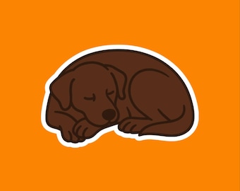 Chocolate Lab Sleeping Sticker - Water Resistant Labrador Sticker