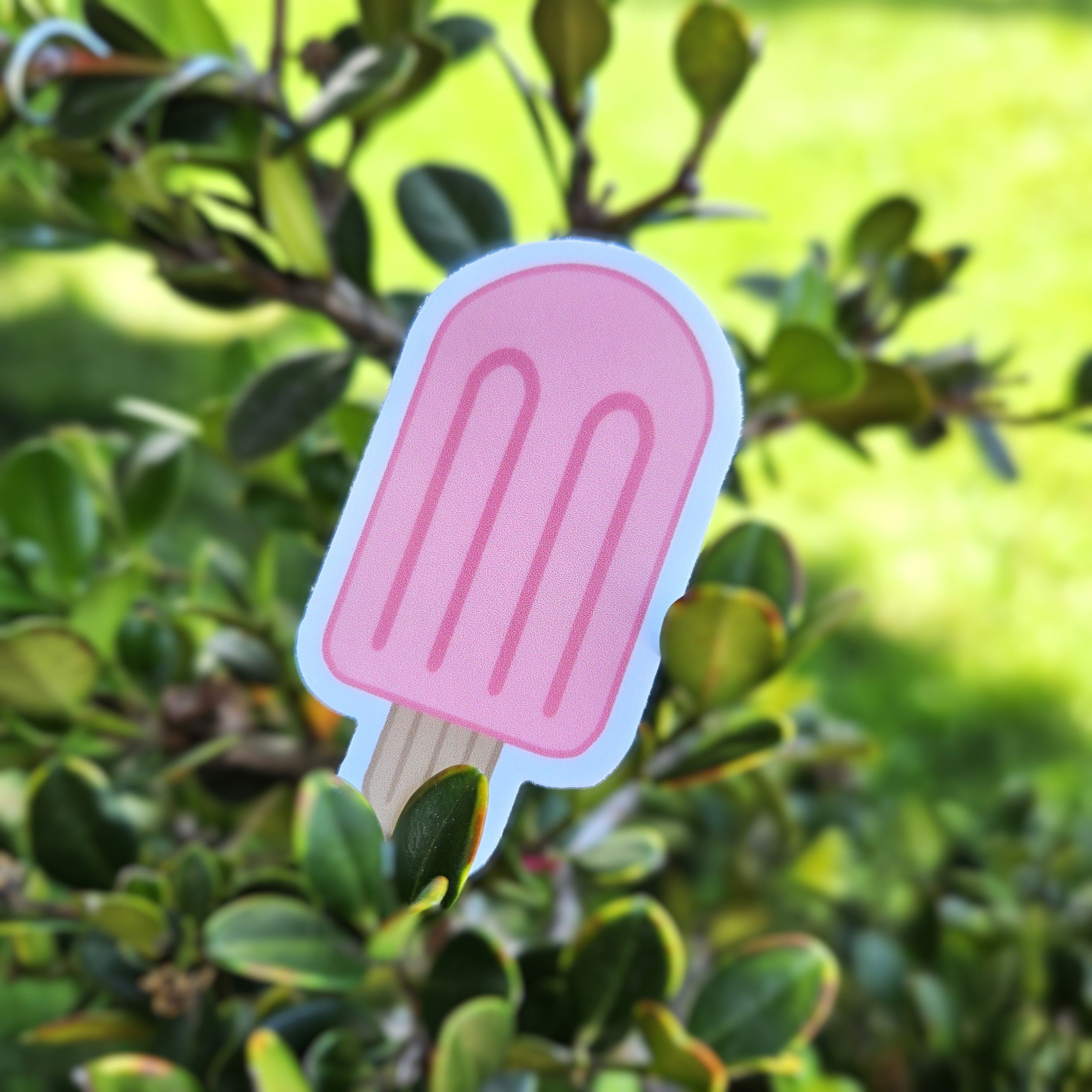 Popsicles Decal Pink Popsicle Sticker: Hand-drawn Waterproof Vinyl Decal - Etsy