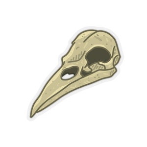 Bird Skull