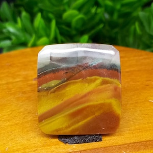 Opalized wood scenic &gt;&gt; plume agate &gt;&gt; Size : 21×19×3.6 mm - gift engagement