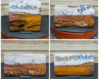 Landscape scenic opalized wood - petrified wood - gift stone healing