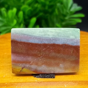 Opalized wood scenic &gt;&gt; plume agate &gt;&gt; Size : 28×19×3.6 mm - gift engagement