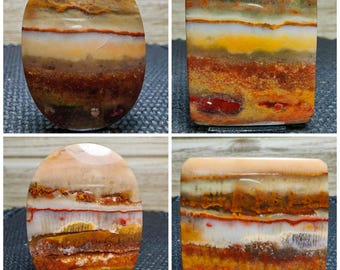 Landscape scenic opalized wood - petrified wood - gift stone healing