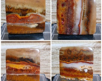 Landscape scenic opalized wood - petrified wood - gift stone healing