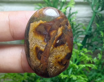 Landschaftsmalerei Opalisiertes Holz - Versteinertes Holz - Geschenkstein Heilung Größe: 55x22x6 mm