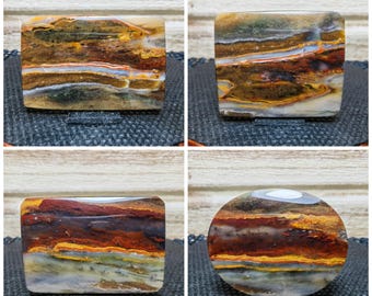 Landscape scenic opalized wood - petrified wood - gift stone healing