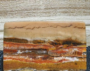 Landscape scenic opalized wood - petrified wood - gift stone healing