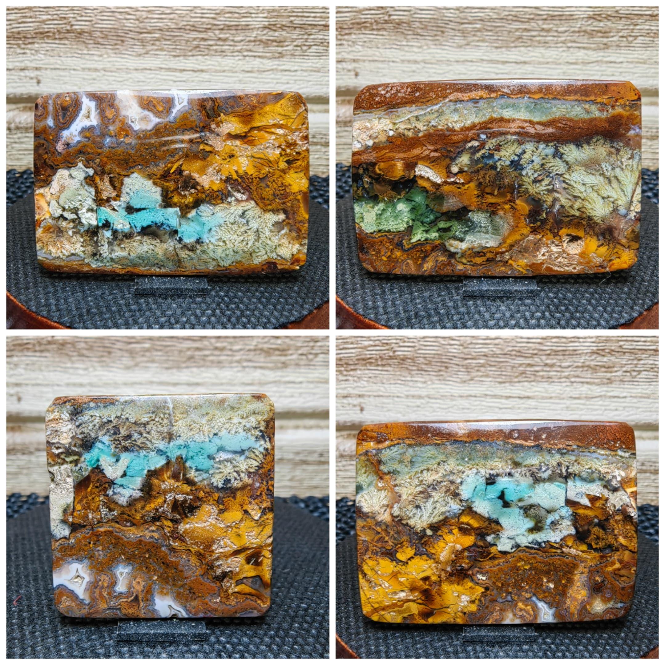 Landscape scenic opalized wood - petrified wood - gift stone healing