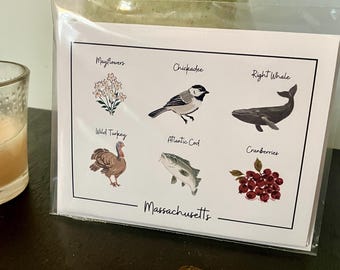 Notecard (Single) - Massachusetts State Symbols
