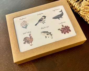 Notecards (5pk) - Massachusetts State Symbols