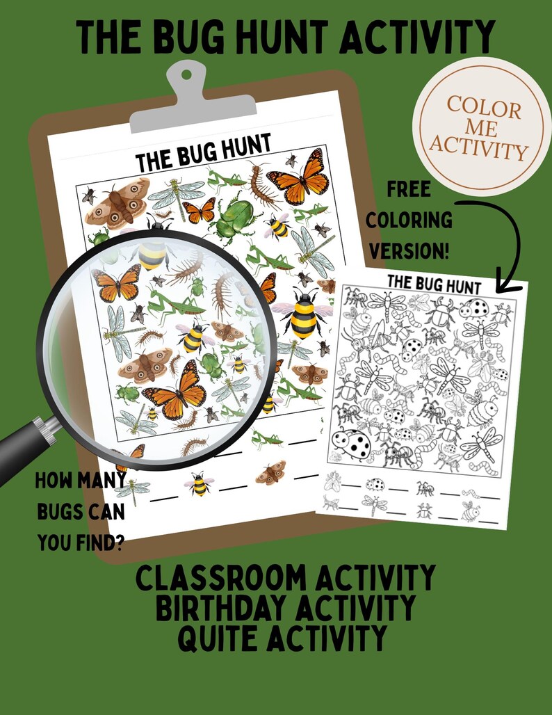 The Bug Hunt Seek and Find Activity Page, Birthday Fun, Classroom ...