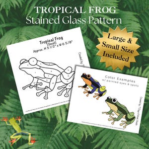 May include: A stained glass pattern of a tropical frog, with numbered sections for coloring. The pattern is available in two sizes, small (5 1/2 inches by 6 5/8 inches) and large. The image also includes color examples of the frog with painted eyes and spots.