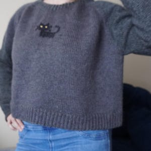 Può includere: Un maglione grigio con un motivo di gatto nero ricamato sul petto. Il maglione ha un girocollo e maniche lunghe. Il gatto ha gli occhi gialli. La persona indossa jeans blu.