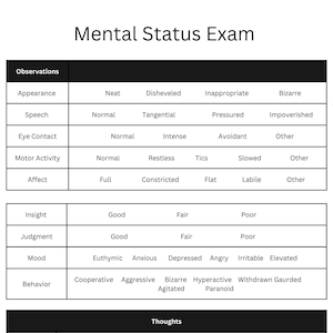 Modello per esame dello stato mentale, promemoria MSE, strumento di consulenza, nota sui progressi del terapeuta