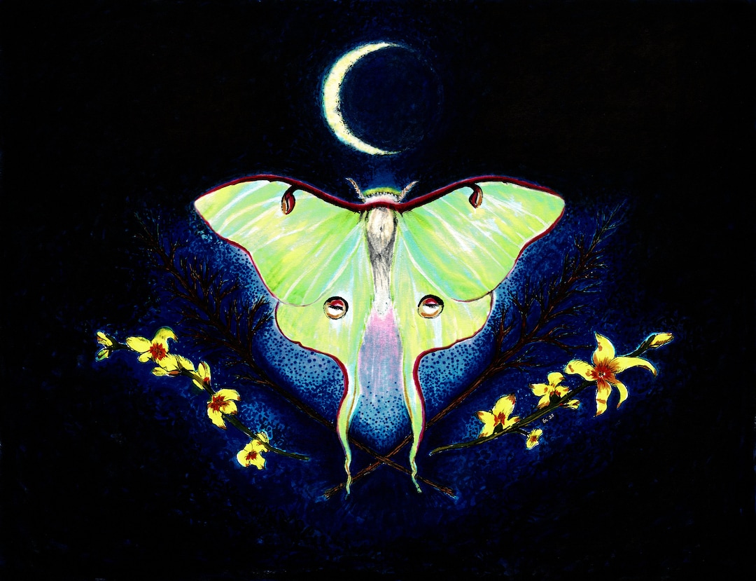 Luna Moth Art Print, Crescent Moon & Forsythia Illustration (8x10) - Etsy