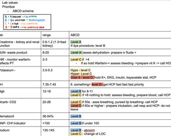 Nclex study guide with Mark K & Archer lecture notes Digital